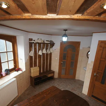 зірка карпат *